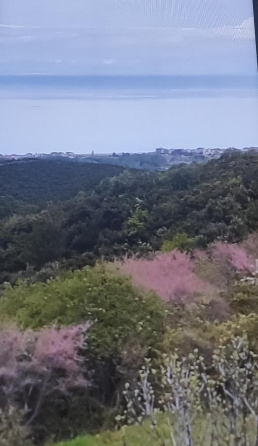 Πανοραμα Villa Aigani Exterior photo